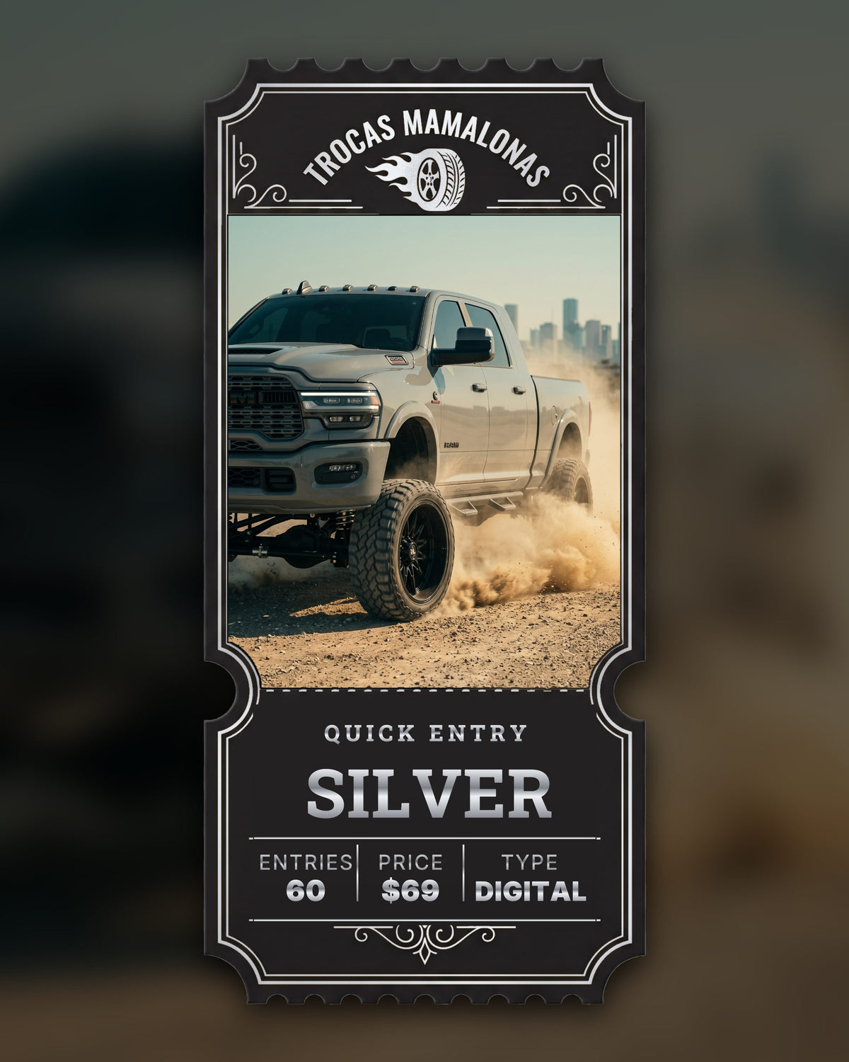 Quick Entry Silver | Entries: 60